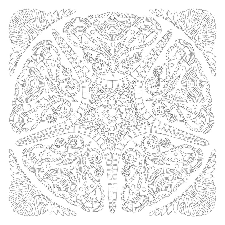 Millie Marotta's Animal Adventures Coloring Book
