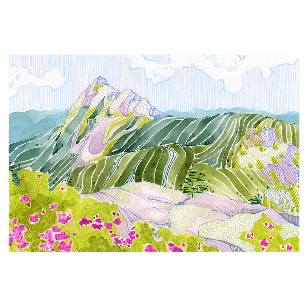 "Azalea Outlook" Mt Chocorua Print