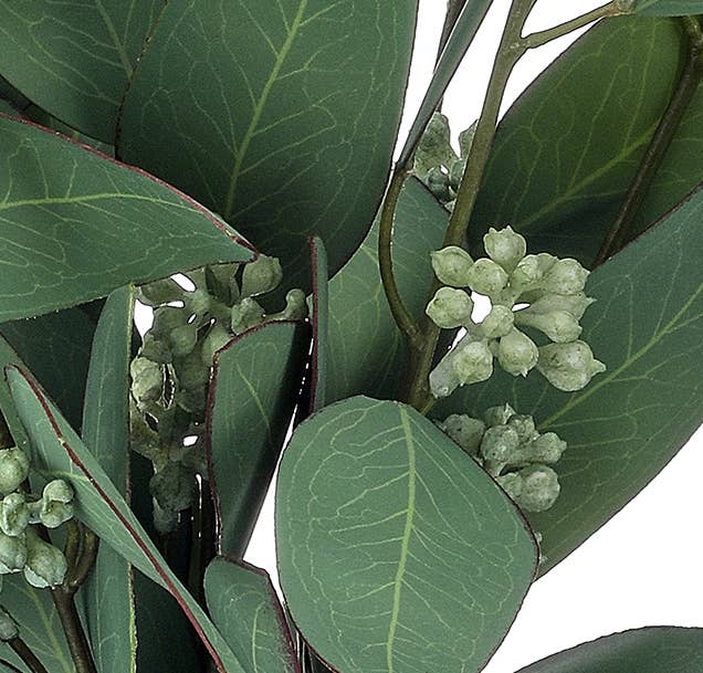 Artificial Seeded Eucalyptus Bundle