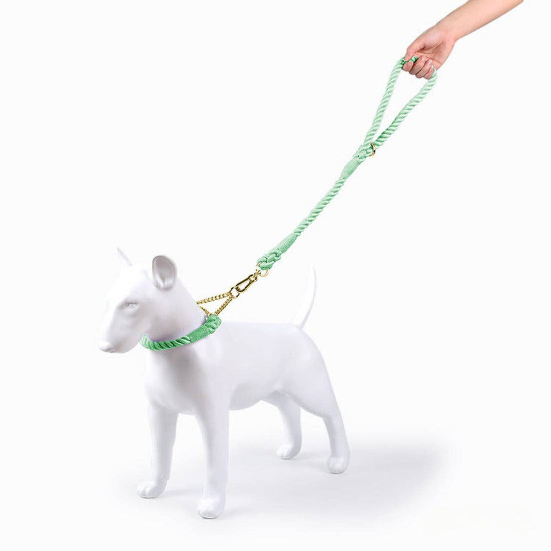 Colorful Short Pet Leash