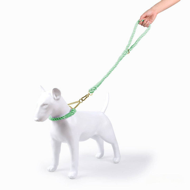 Colorful Short Pet Leash