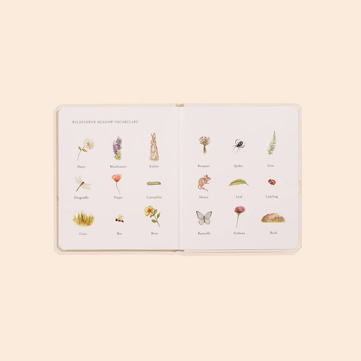 Our Little Adventures Box Set for Kids (3 Board Books)