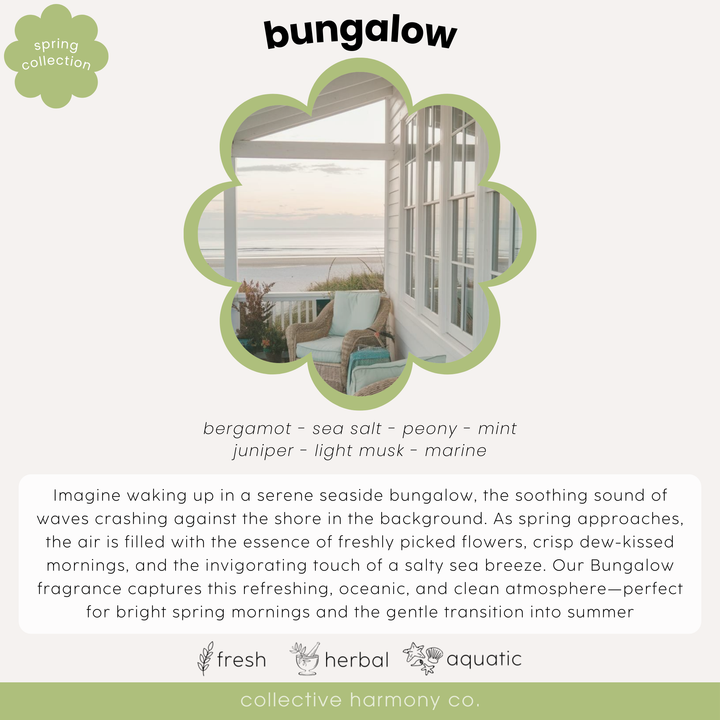 Bungalow Shea Butter Hand + Body Lotion