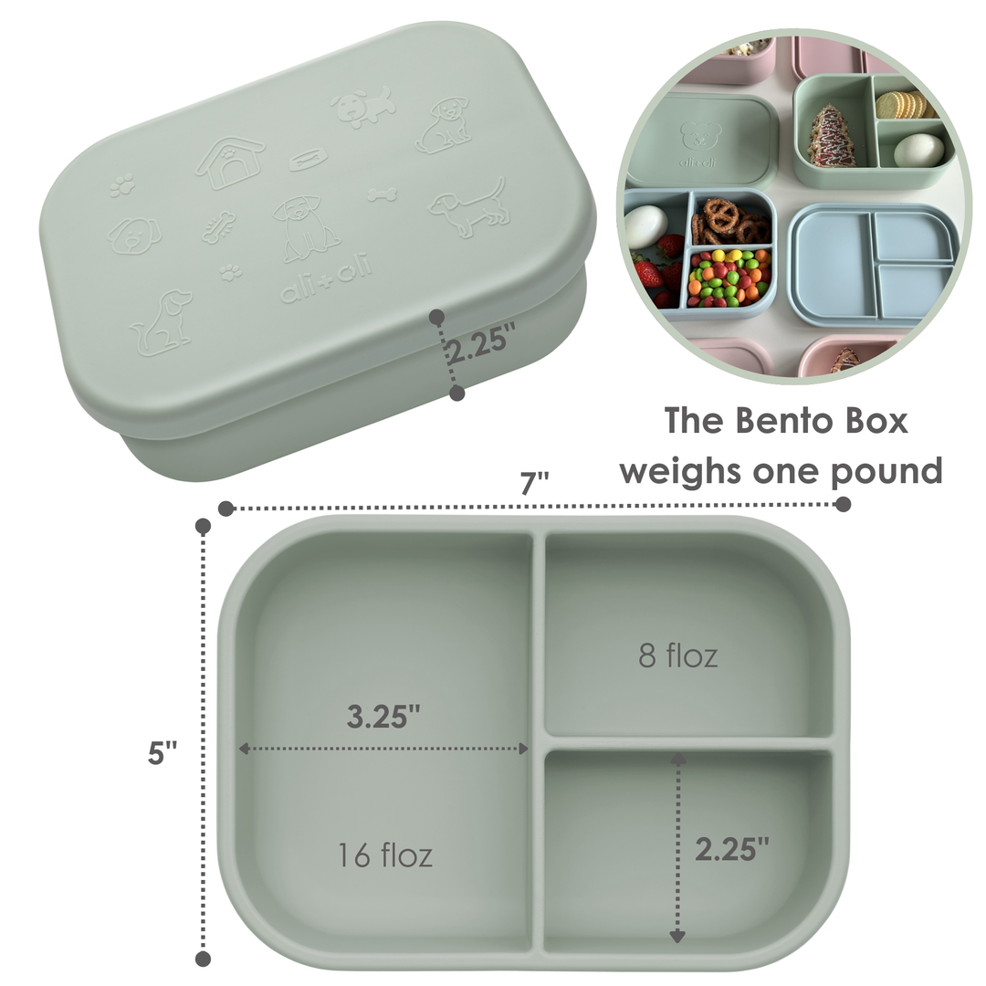 Ali+Oli Silicone Sage Bento Box
