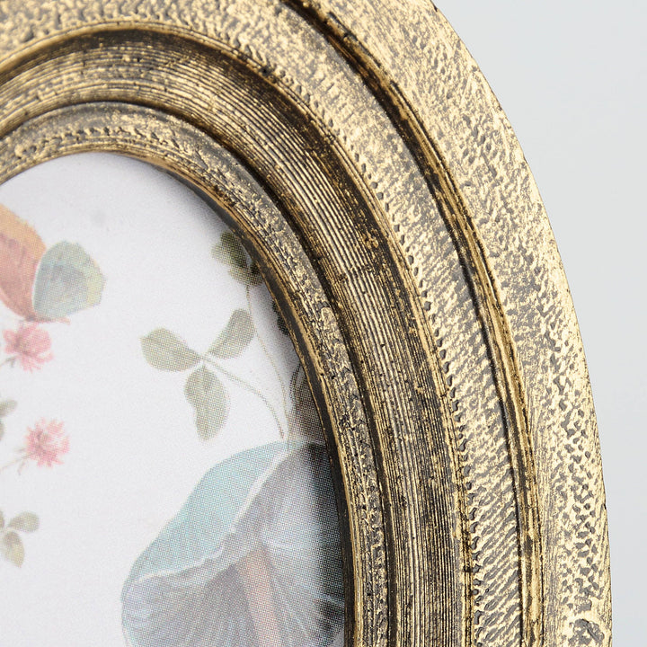 Mushroom Study Framed Art/Magnet