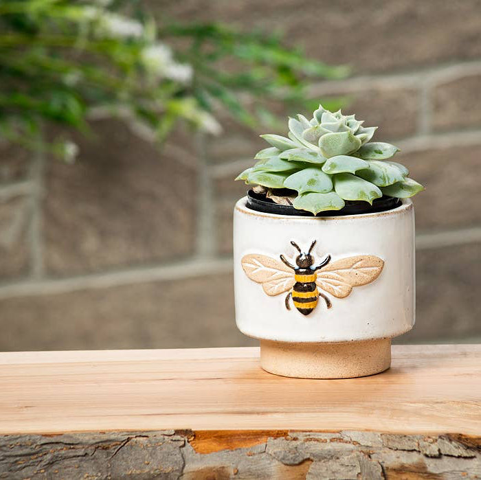 Small Embossed Bee Planter 3"H