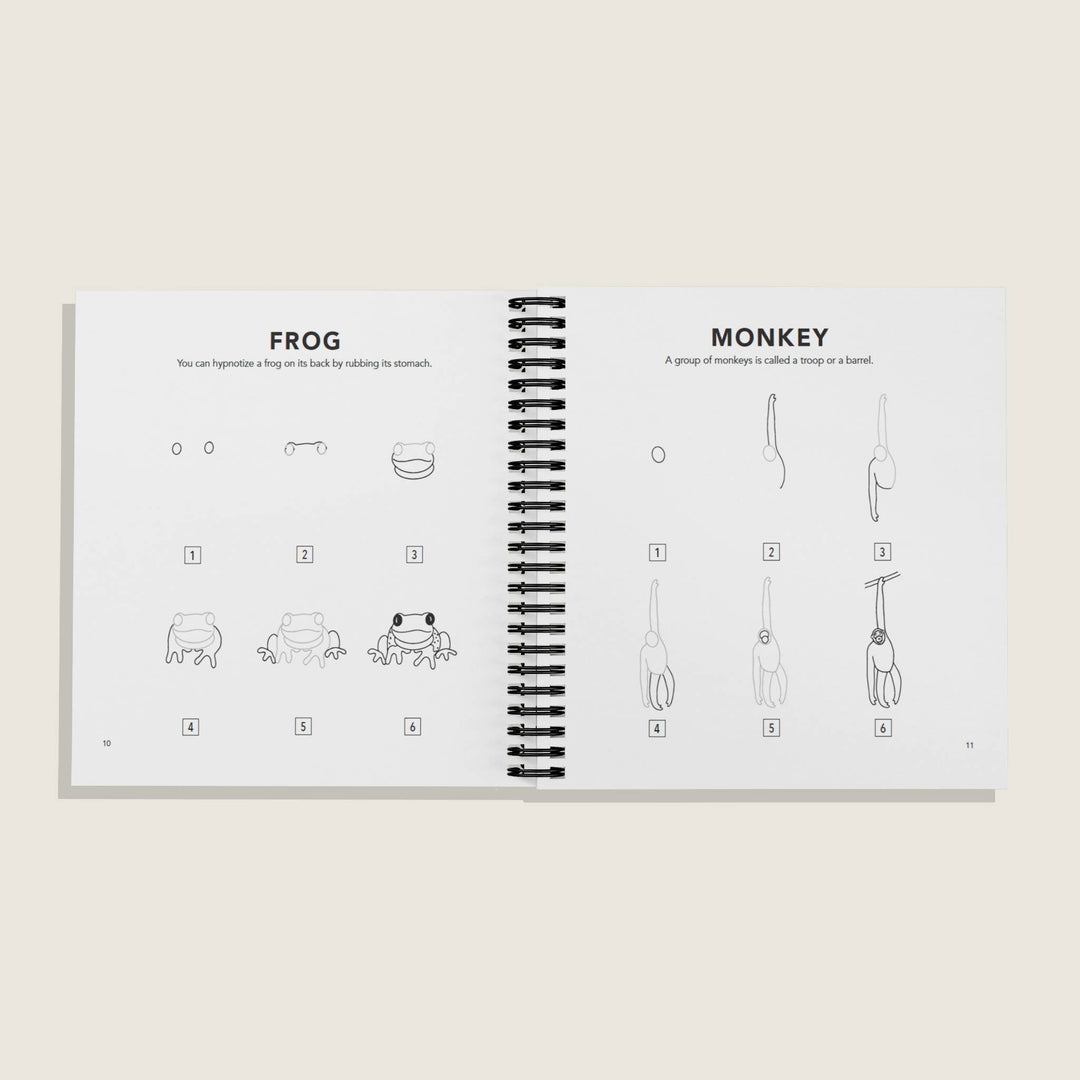 All the Animals: How to Draw Books for Kids (Spiral)