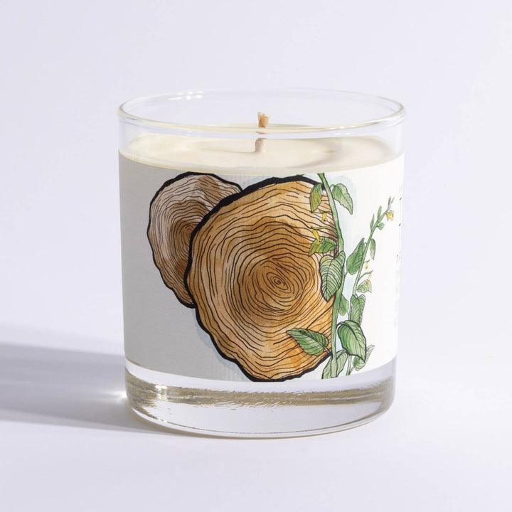 Teakwood Tobacco Candle by Just Bee