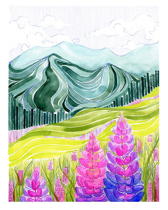 "Lupine Bloom" Print