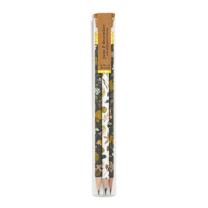 Circle of Life Pencil Terrarium, mixed set of 5 pencils