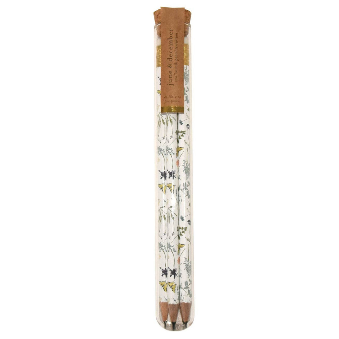 Swallowtails Pencil Terrarium, Set of 5 Pencils